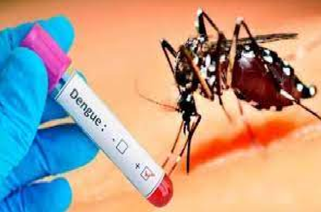 டெங்கு அபாயம் அதிகரிப்பு 15 மாவட்டங்கள் அதி உயர் அபாயத்தில்